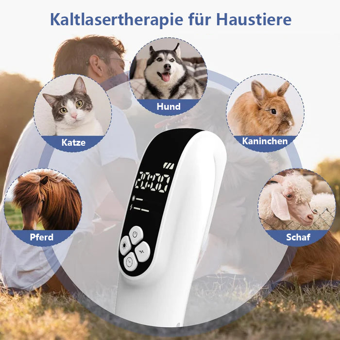 KTS® Verbessertes Kaltlaser-Therapiegerät