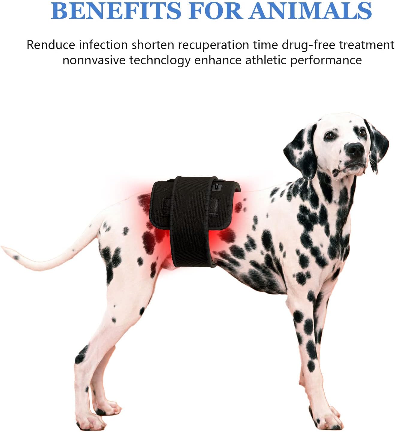 LED-Infrarot- und Rotlichttherapie-Gürtelgerät