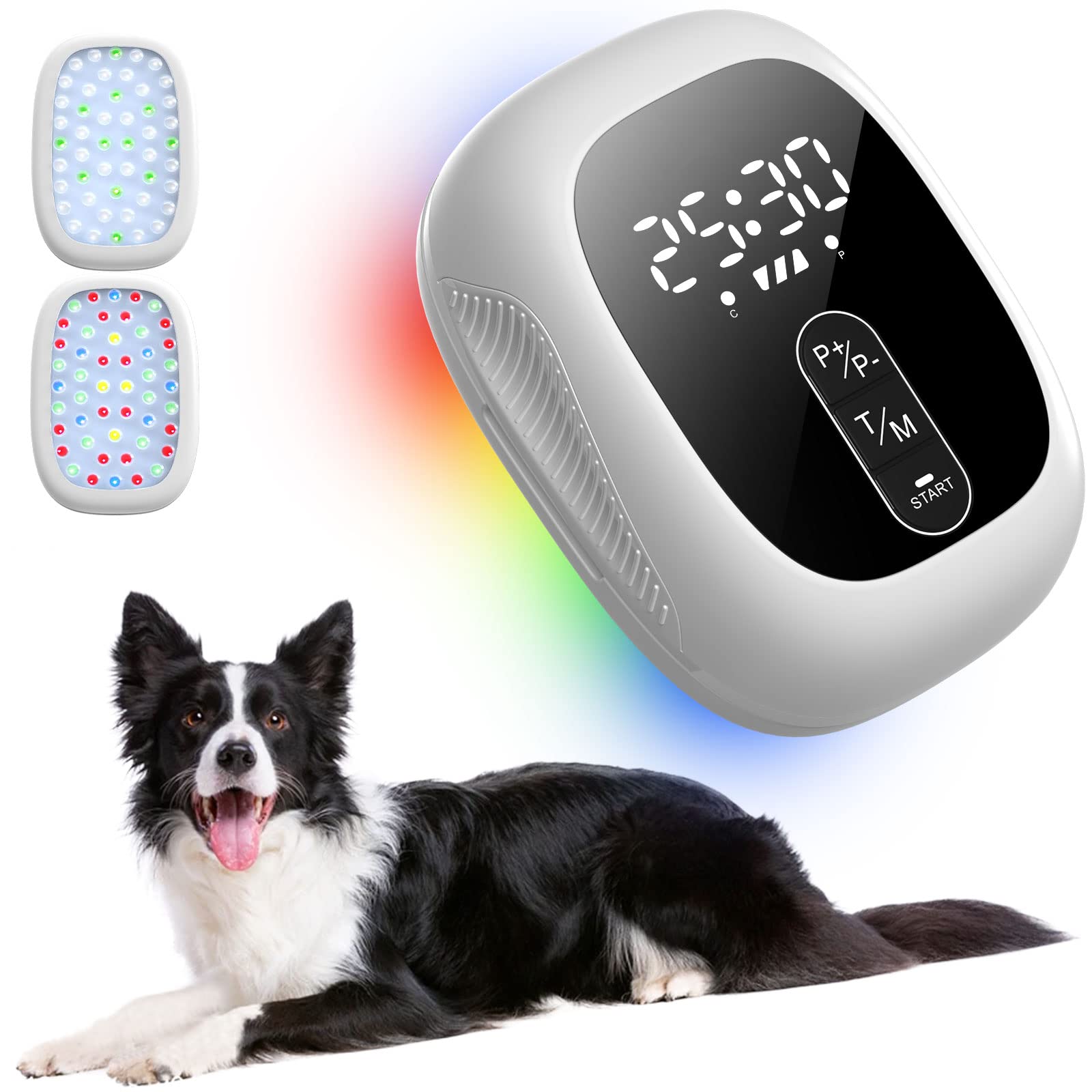 KTS® Kaltlaser-Therapiegerät für Haustiere