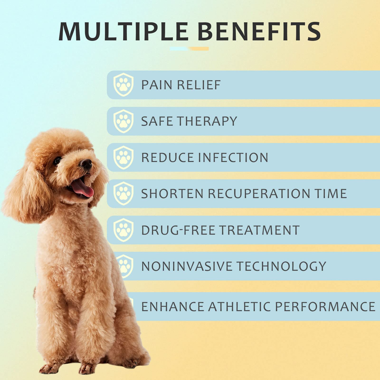 KTS® Kaltlaser-Therapiegerät für Haustiere